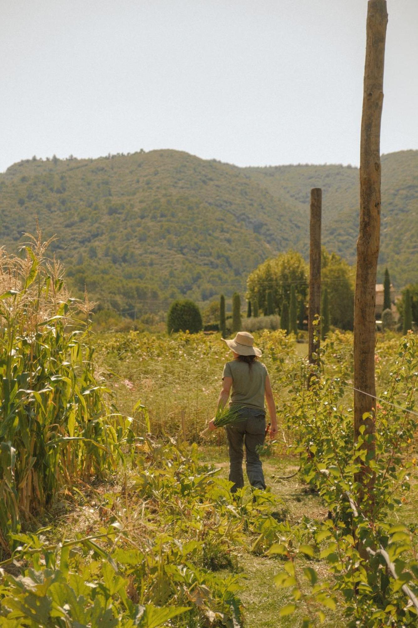 La Bastide De Marie, Maisons Et Sibuet 5* Ménerbes